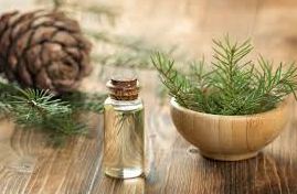 Масло кедра